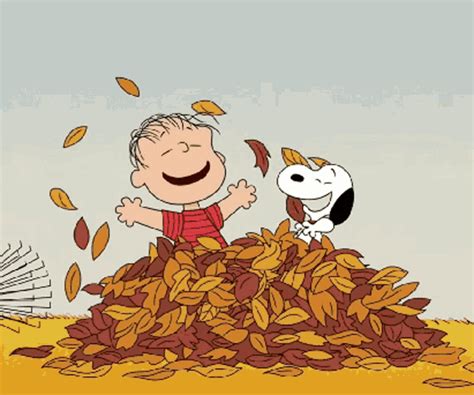 Autumn Fall GIFs